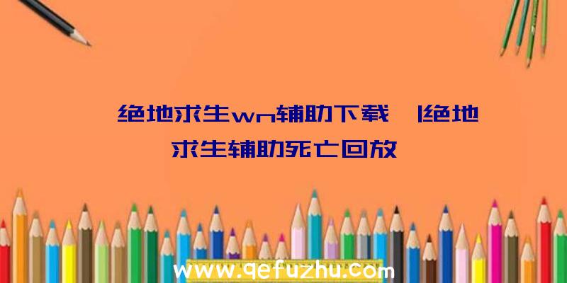 「绝地求生wn辅助下载」|绝地求生辅助死亡回放